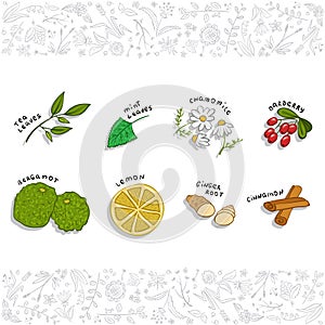 Tea ingredients -Herbs, fruits and spice set or collection