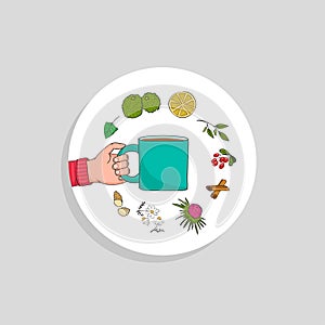 Tea ingredients. Vector set or collection. Cup in hand
