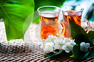 Tea with jasmine. Two cups of tea on a natural background of green leaves with jasmine flowers. Space for text