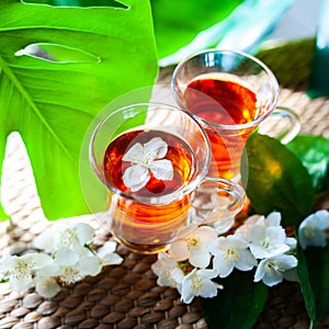 Tea with jasmine. Two cups of tea on a natural background of green leaves with jasmine flowers.