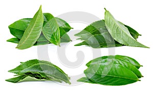 Tea leaf isolated