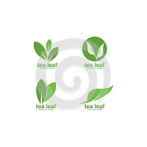 tea leaf logo vector icon illustration