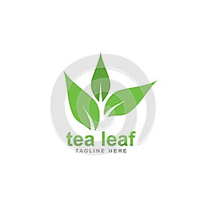 tea leaf logo vector icon illustration