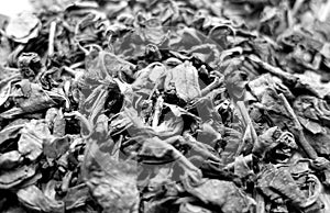 tea leaves close up with blur effect. Black and white
