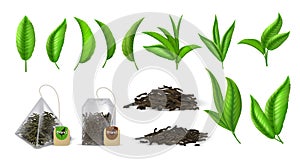 Tea leaves. Realistic green and dried tea leaves, design elements for advertising, branches leaf and tea bags. Vector