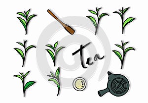 Tea leaves, tea cup, tea pot and wooden scoop on white background. Top view. vector illustrations set.