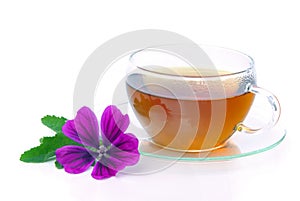 Tea malva photo