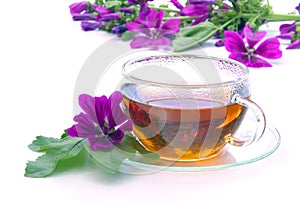 Tea malva