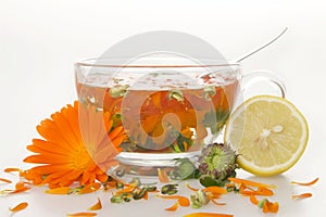 Tea from marigold medical.