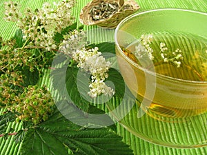Tea with meadowsweet