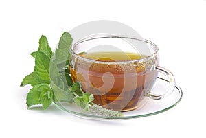 Tea Mentha citrata 01