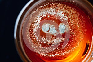 Tea mold in a cup, black background