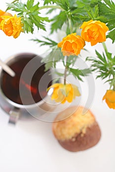 Tea with muffin and a globeflower