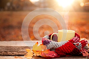 Tea mug and warm red scarf with fallen leaves