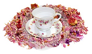 Tea pair of fine porcelain among scattered petals of hydrangea a