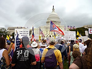 Tea Party Protesters at the Capitol