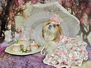 Tea Party Southern Style photo