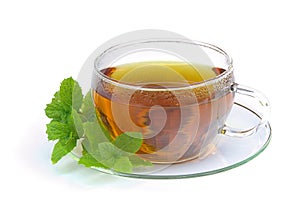 Tea Peppermint 01