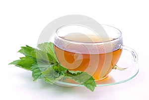 Tea Peppermint
