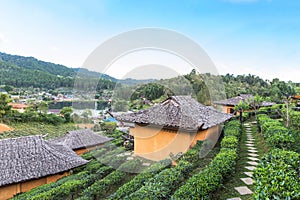 Tea plantation of Ban rak thai Chinese community village is Chinese Kuomintang refugees in Pai, Mae Hong Son, Thailand