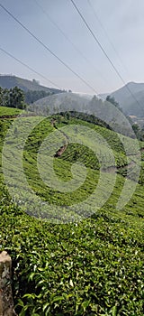 Munnar