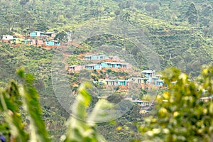 Tea plantations around Lipton`s Seat / Haputale, Sri Lanka.