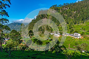 Tea plantations around Lipton's Seat near Haputale, Sri Lanka
