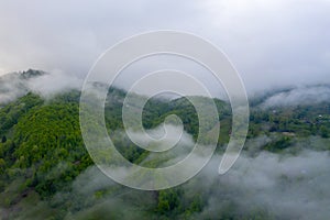 Tea Plantations at Cameron Highlands Malaysia. Sunrise in early morning with fog.