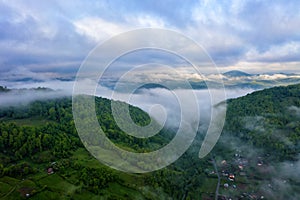 Tea Plantations at Cameron Highlands Malaysia. Sunrise in early morning with fog.