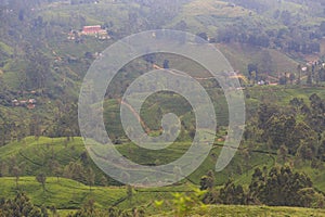 Tea plantations on the Kandy to Ella train journey - Sri lanka