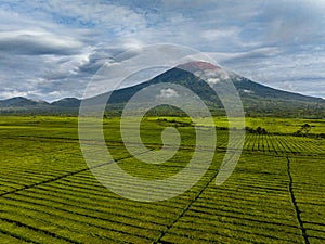 Tea plantations Kayu Aro and Mount Kerinci. Sumatra, Indonesia.