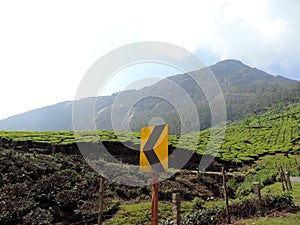 Tea plantations in Munnar, Kerala, India with signboard for direction