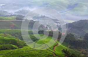 Tea plantations in Munnar, Kerala, South India