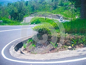 Tea plantations in Nuwara Eliya, Sri Lanka