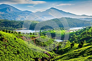 Tea plantations and river in hills. Kerala, India photo