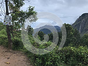 tea plantations in sri lanka