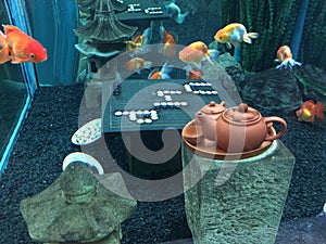 Tea Pot for fishes