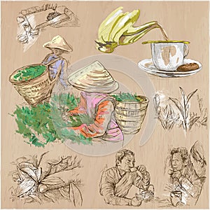 Tea Processing. Agriculture. An hand drawn vector illustration.