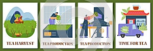 Tea production facility, grading, fermentation and delivery harvested leaves process, vector tea industry posters set