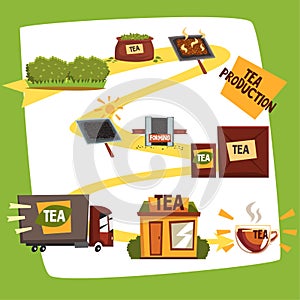 Tea production, tea manufacturing process from plantation to shop cartoon vector illustration