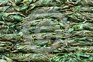 Tea production process. Tea leaf twisted by hand. Blooming Sally fermentation.