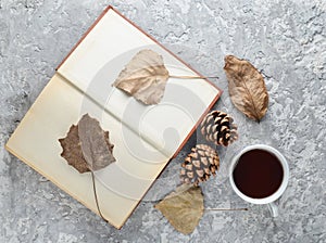 Tea when reading a book. Tea, book, fallen leaves, bumps on a concrete table. Autumn winter atmosphere for reading a new story.