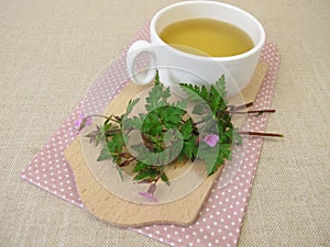 Tea with Roberts geranium, cranesbill, Geranium robertianum