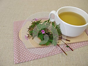 Tea with Roberts geranium, cranesbill, Geranium robertianum