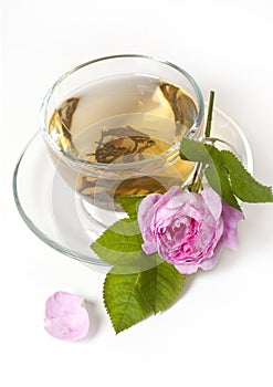 Tea rose