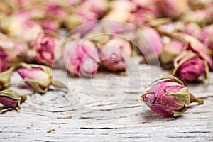 Tea rose buds