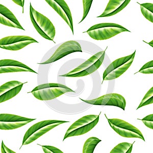 Tea seamless pattern. Organic green leaf, healthy drink frame, japan powder for chinese restaurant menu or banner