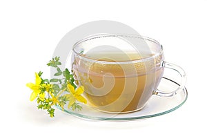 Tea St Johns wort 01