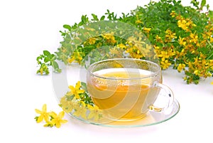 Tea St Johns wort