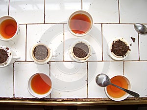 Tea tasting in a Tea factory